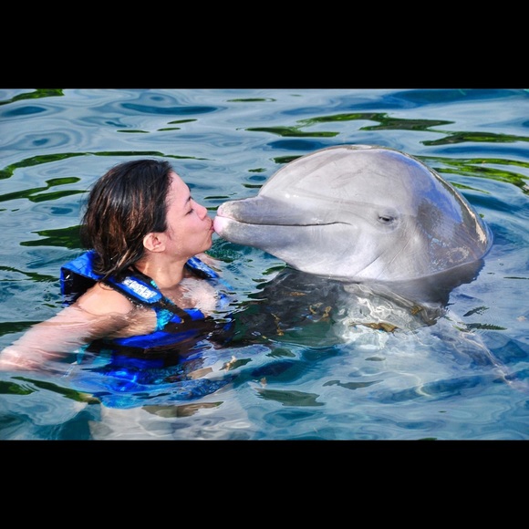 Meet your Posher, Venus diana - Picture 3 of 5